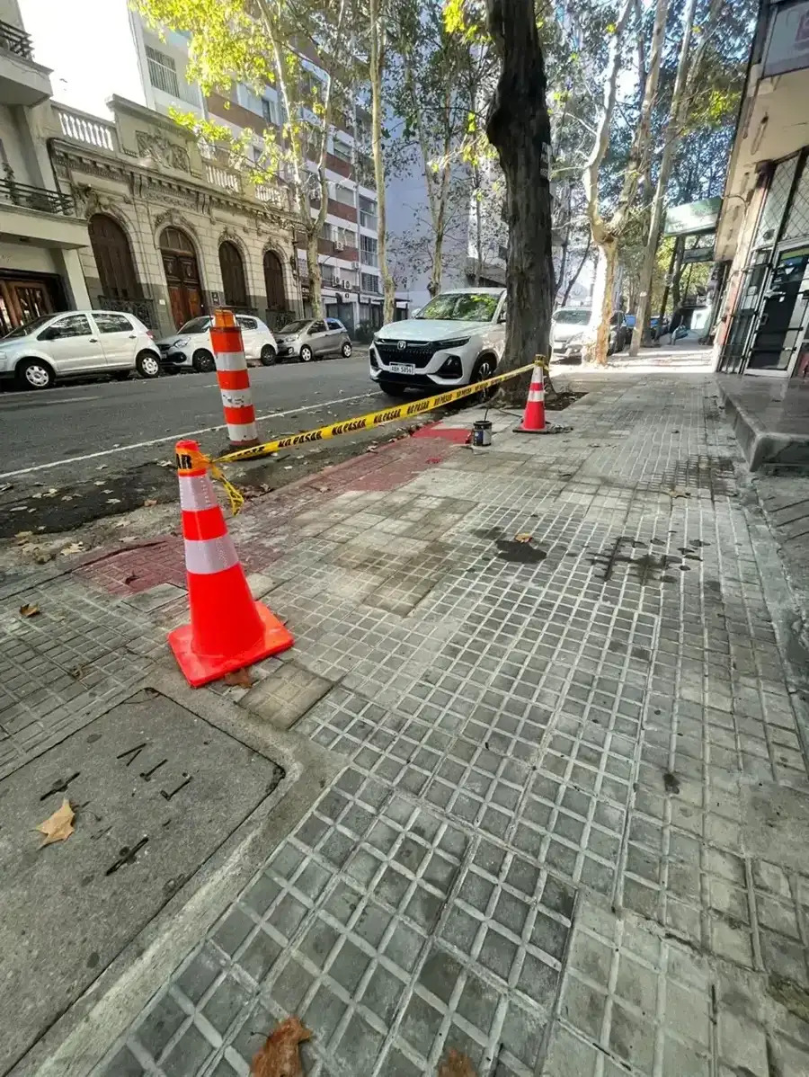 Imagen del trabajo Reforma de vereda en tramo arbolado