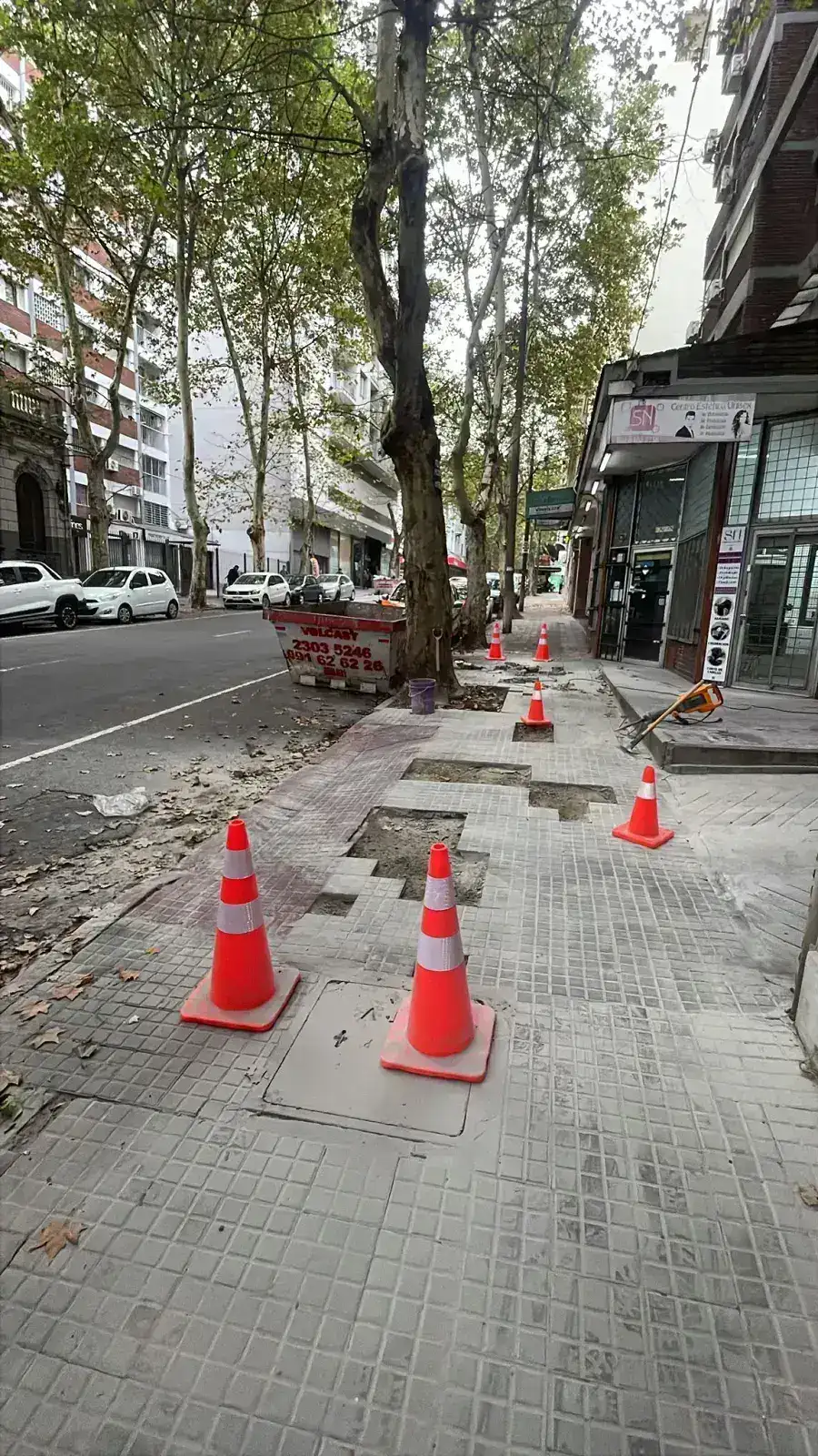 Imagen del trabajo Reforma de vereda en tramo arbolado